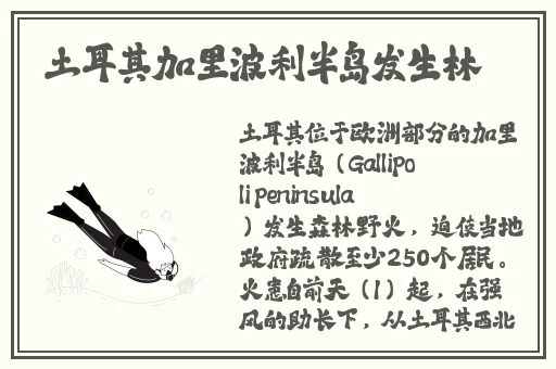 青春草在线视频免费观看